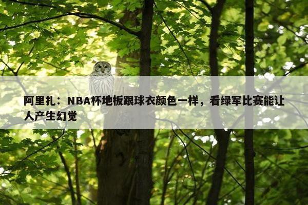 阿里扎：NBA杯地板跟球衣颜色一样，看绿军比赛能让人产生幻觉