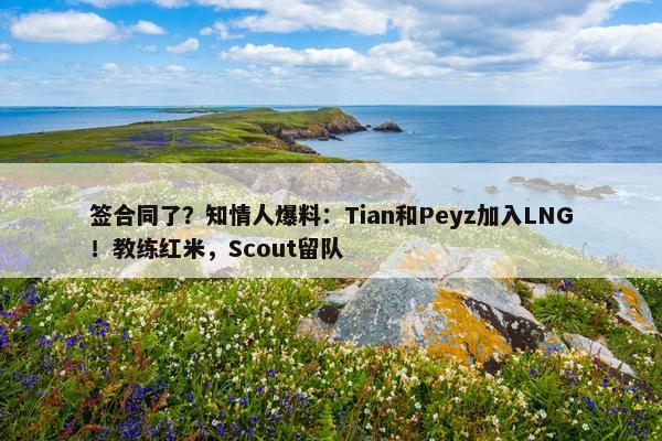 签合同了？知情人爆料：Tian和Peyz加入LNG！教练红米，Scout留队