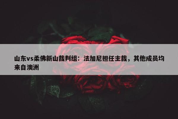 山东vs柔佛新山裁判组：法加尼担任主裁，其他成员均来自澳洲