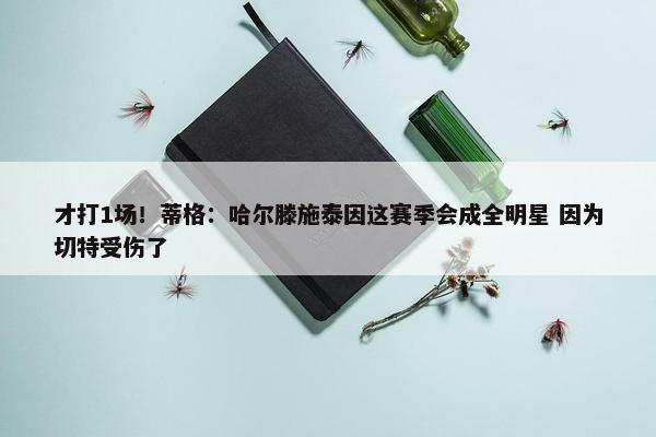 才打1场！蒂格：哈尔滕施泰因这赛季会成全明星 因为切特受伤了