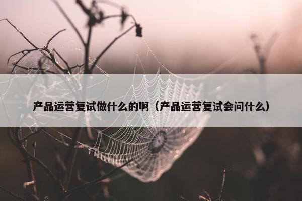 产品运营复试做什么的啊（产品运营复试会问什么）