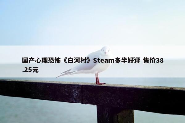 国产心理恐怖《白河村》Steam多半好评 售价38.25元