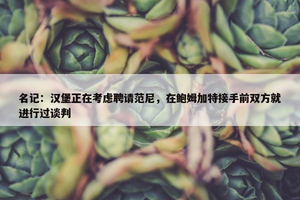 名记：汉堡正在考虑聘请范尼，在鲍姆加特接手前双方就进行过谈判