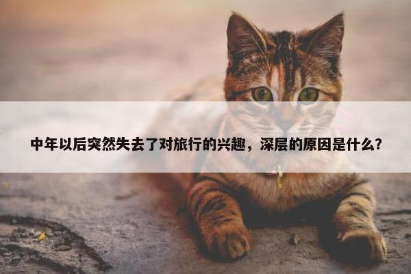 中年以后突然失去了对旅行的兴趣，深层的原因是什么？