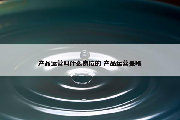 产品运营叫什么岗位的 产品运营是啥