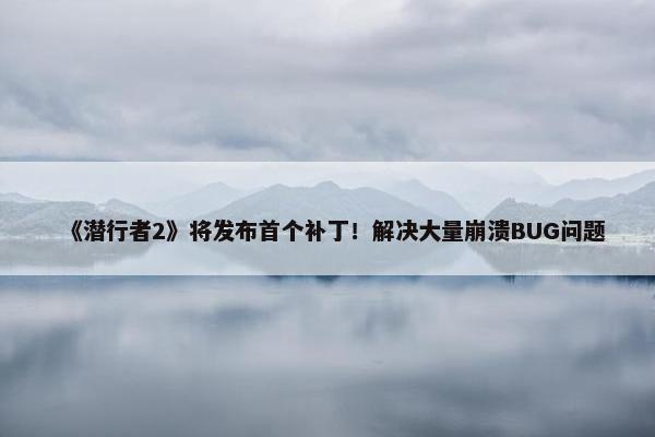 《潜行者2》将发布首个补丁！解决大量崩溃BUG问题