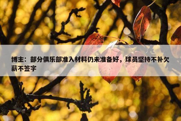 博主：部分俱乐部准入材料仍未准备好，球员坚持不补欠薪不签字