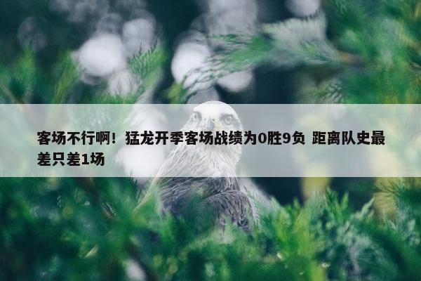 客场不行啊！猛龙开季客场战绩为0胜9负 距离队史最差只差1场