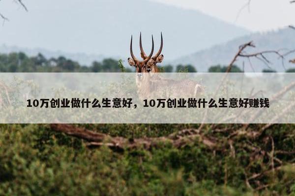 10万创业做什么生意好，10万创业做什么生意好赚钱