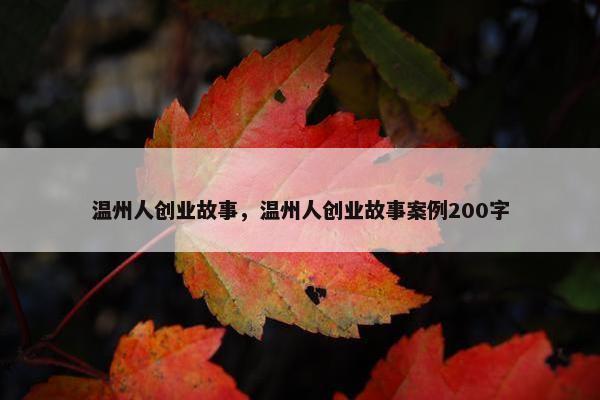 温州人创业故事，温州人创业故事案例200字