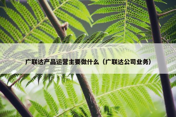 广联达产品运营主要做什么（广联达公司业务）