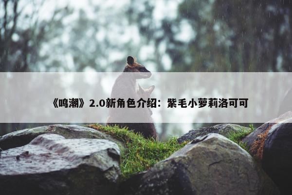 《鸣潮》2.0新角色介绍：紫毛小萝莉洛可可