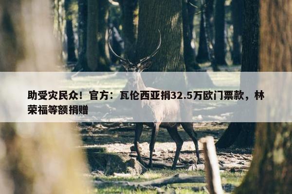 助受灾民众！官方：瓦伦西亚捐32.5万欧门票款，林荣福等额捐赠