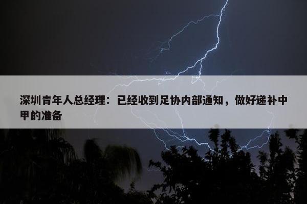 深圳青年人总经理：已经收到足协内部通知，做好递补中甲的准备