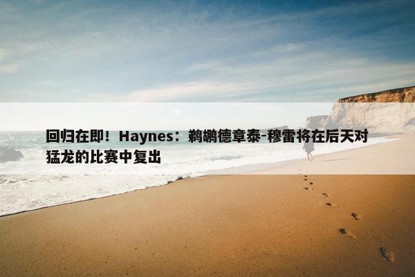 回归在即！Haynes：鹈鹕德章泰-穆雷将在后天对猛龙的比赛中复出