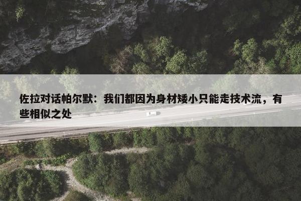 佐拉对话帕尔默：我们都因为身材矮小只能走技术流，有些相似之处