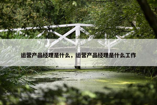 运营产品经理是什么，运营产品经理是什么工作