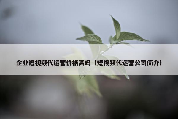 企业短视频代运营价格高吗（短视频代运营公司简介）