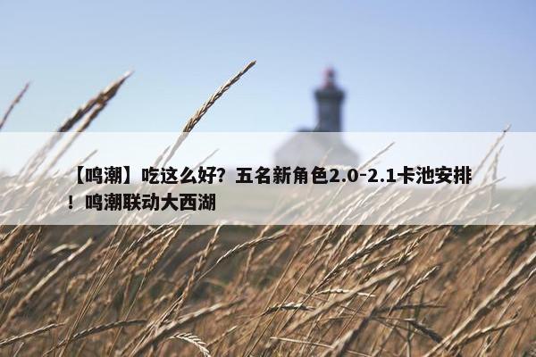 【鸣潮】吃这么好？五名新角色2.0-2.1卡池安排！鸣潮联动大西湖