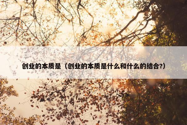 创业的本质是（创业的本质是什么和什么的结合?）