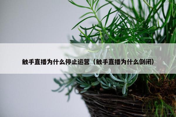 触手直播为什么停止运营（触手直播为什么倒闭）