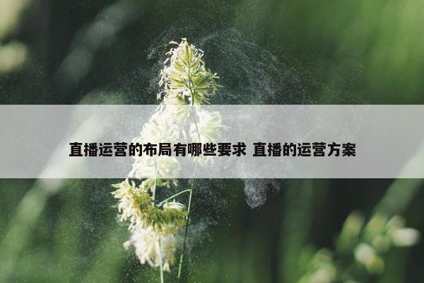 直播运营的布局有哪些要求 直播的运营方案