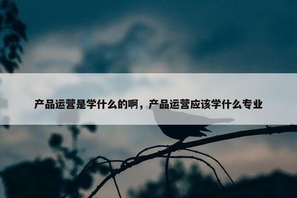 产品运营是学什么的啊，产品运营应该学什么专业