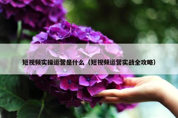 短视频实操运营是什么（短视频运营实战全攻略）