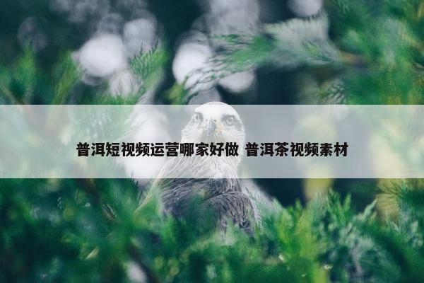 普洱短视频运营哪家好做 普洱茶视频素材