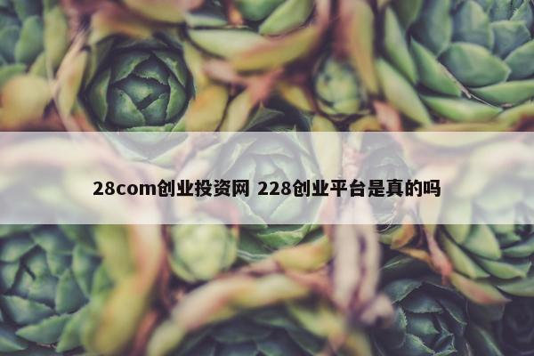 28com创业投资网 228创业平台是真的吗