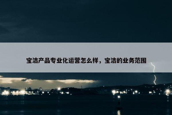 宝洁产品专业化运营怎么样，宝洁的业务范围