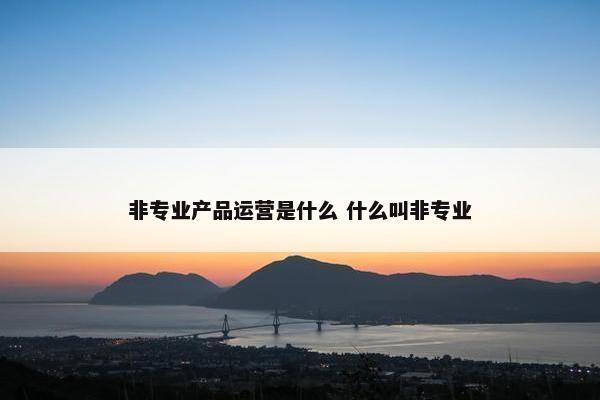 非专业产品运营是什么 什么叫非专业