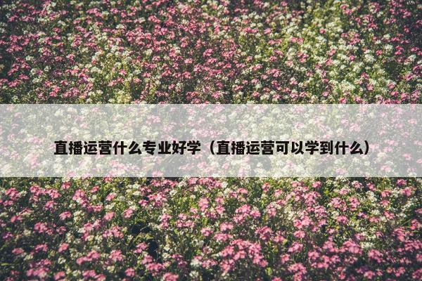 直播运营什么专业好学（直播运营可以学到什么）